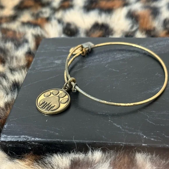 Alex & Ani Charm Bracelets Lot of 8 - 2012 2013 2015 - Picture 4 of 16